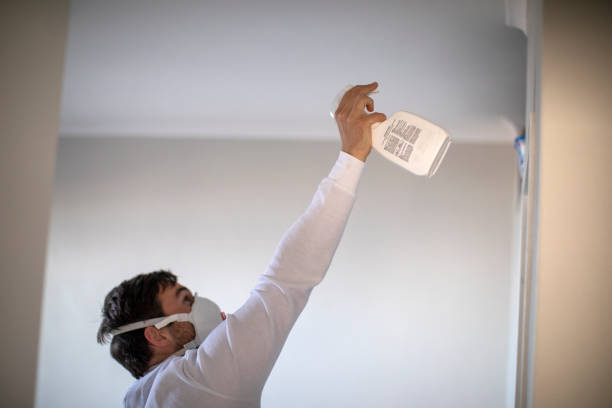 Best Mold Testing and Removal  in Mdleton, ID