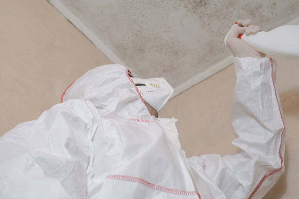 Best Mold Inspection  in Mdleton, ID