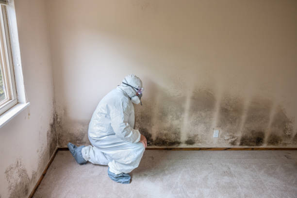 Best Crawl Space Mold Removal  in Mdleton, ID